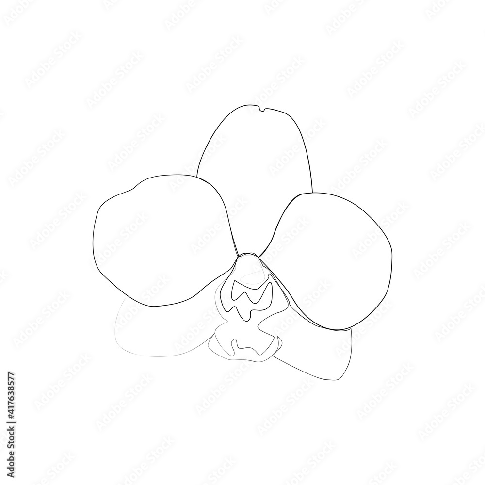 continuous line drawing of beautiful flowers continuous line drawing of beautiful flowers