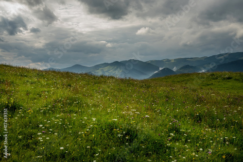 Blooming meadow  and mountain peaks in the background. Mountain green dramatic landscape. 
