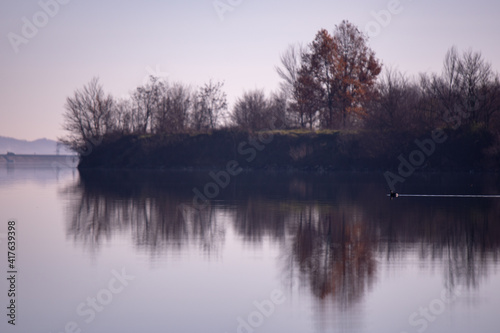 Fototapeta Naklejka Na Ścianę i Meble -  forest reflected in the lake in autumn season. wild landscape with leafless trees by the calm water