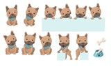 Vector illustration character design collection of french bulldog cute and happy. Vector illustration isolated on white background