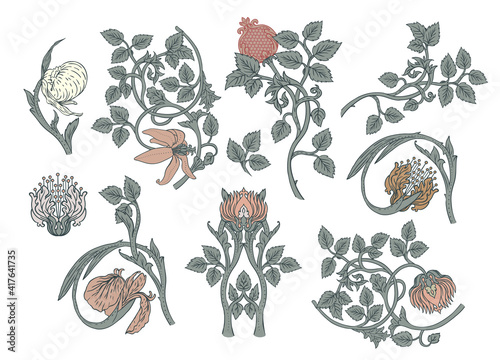 Floral vintage elements. Enchanted Vintage Flowers. Arts and Crafts movement inspired. Vector design elements. Isolated on white.
