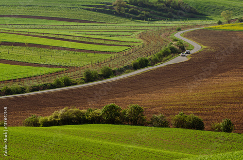 Rural landscape with road © Roxana