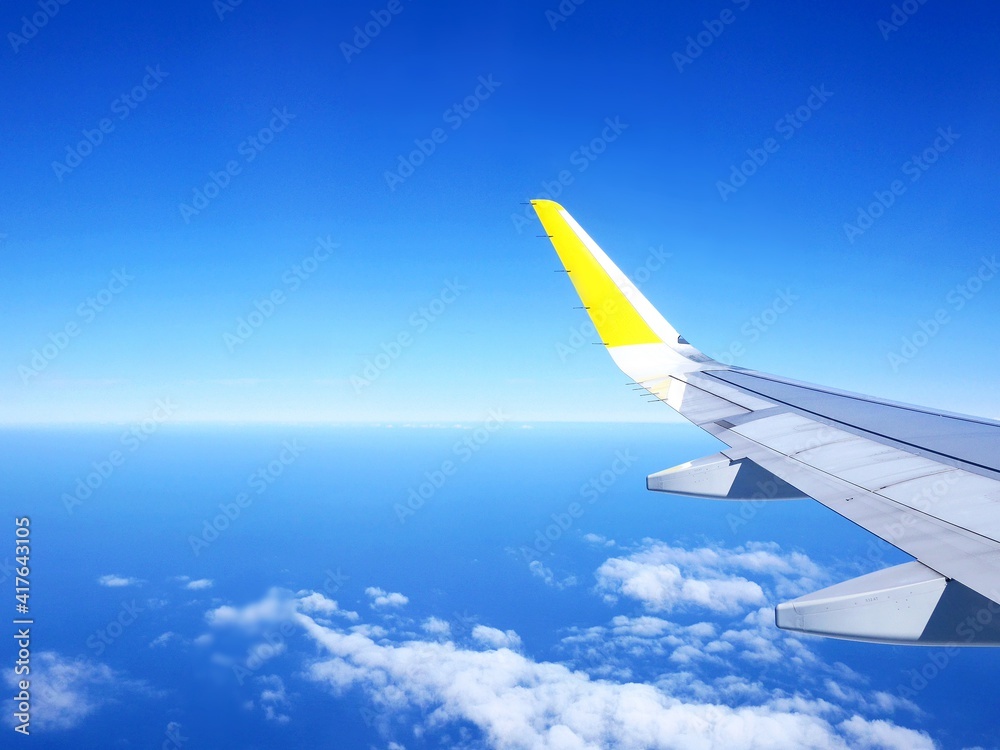 Obraz premium 青い空と飛行機の翼（機内から見た景色）