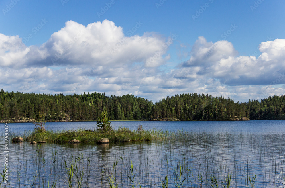 Lake in the Repovesi National Park Lake in the Repovesi National Park