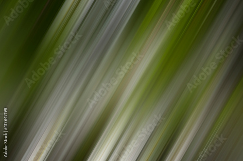 abstract green background, blurry backdrop