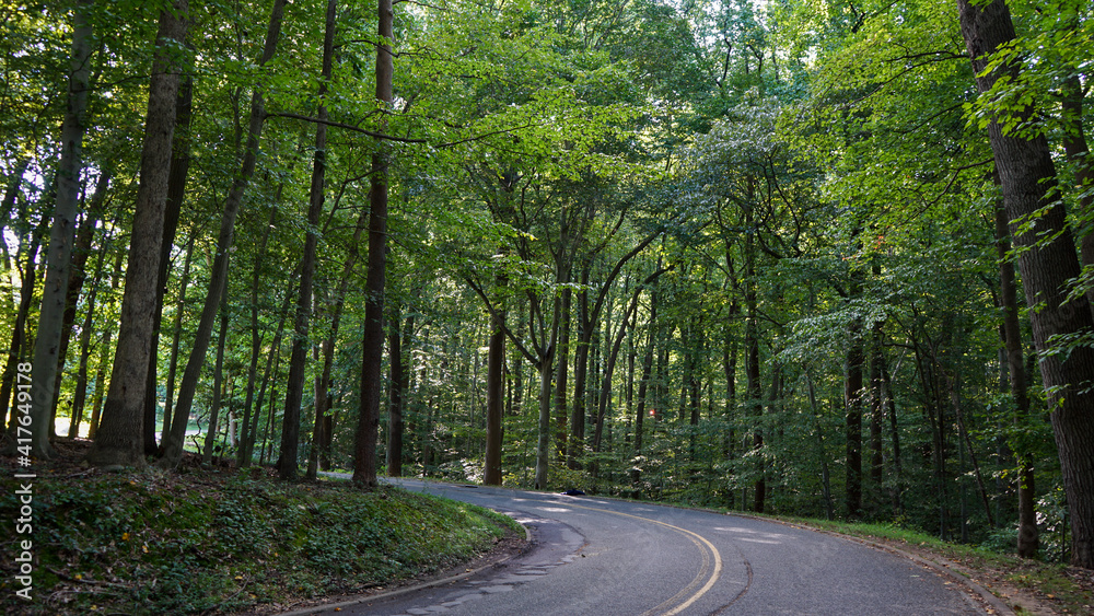 Obraz premium road in Rock Creek Park