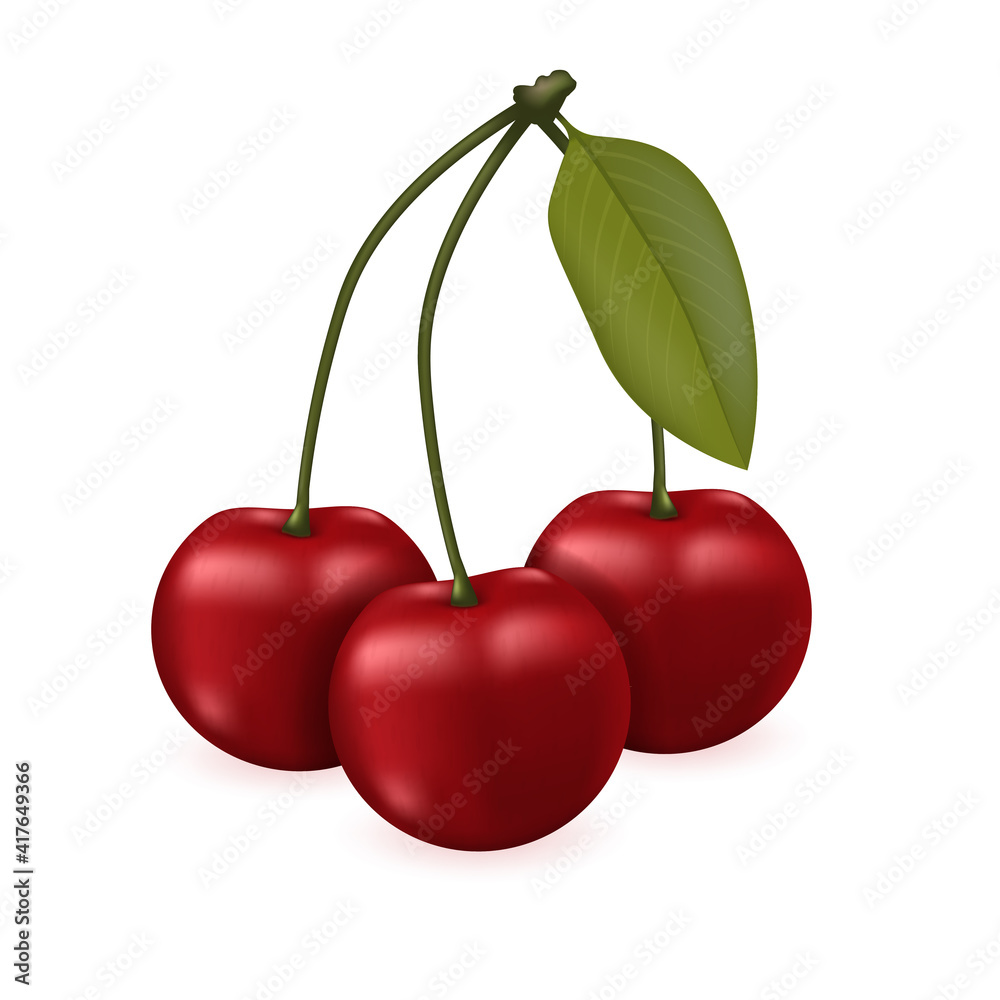 Three Cherries in hand with a leaf, isolated vector illustration. Realistic berries Three Cherries in hand with a leaf, isolated vector illustration. Realistic berries