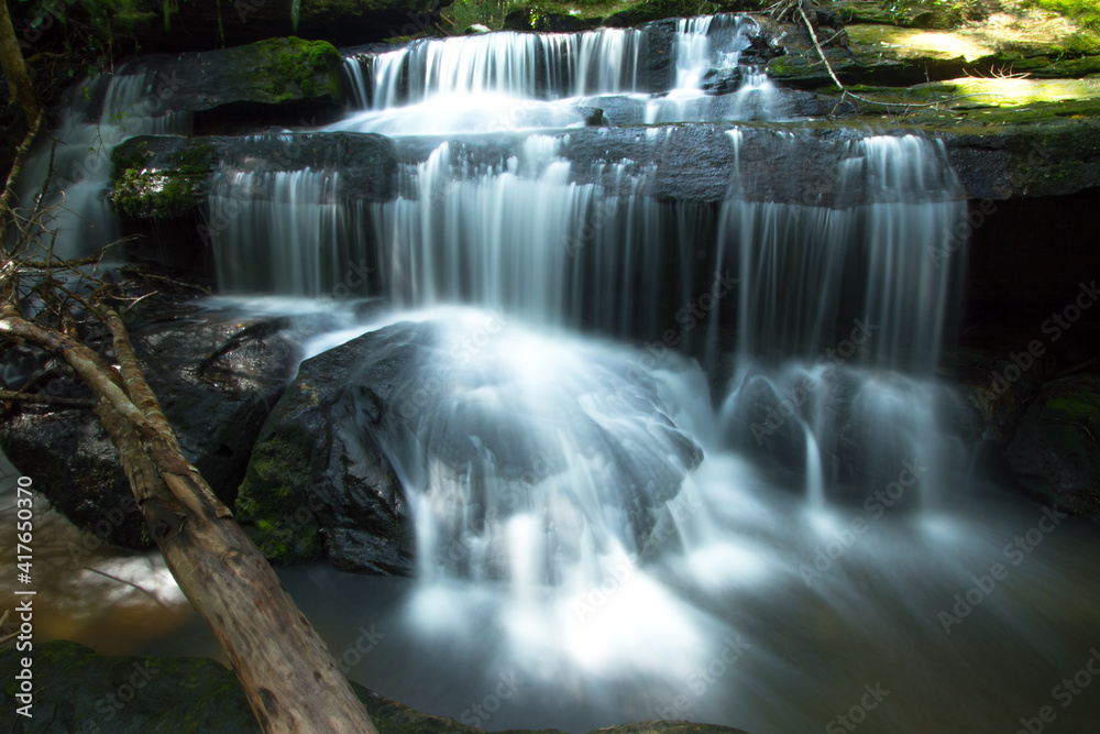 waterfall in the forest