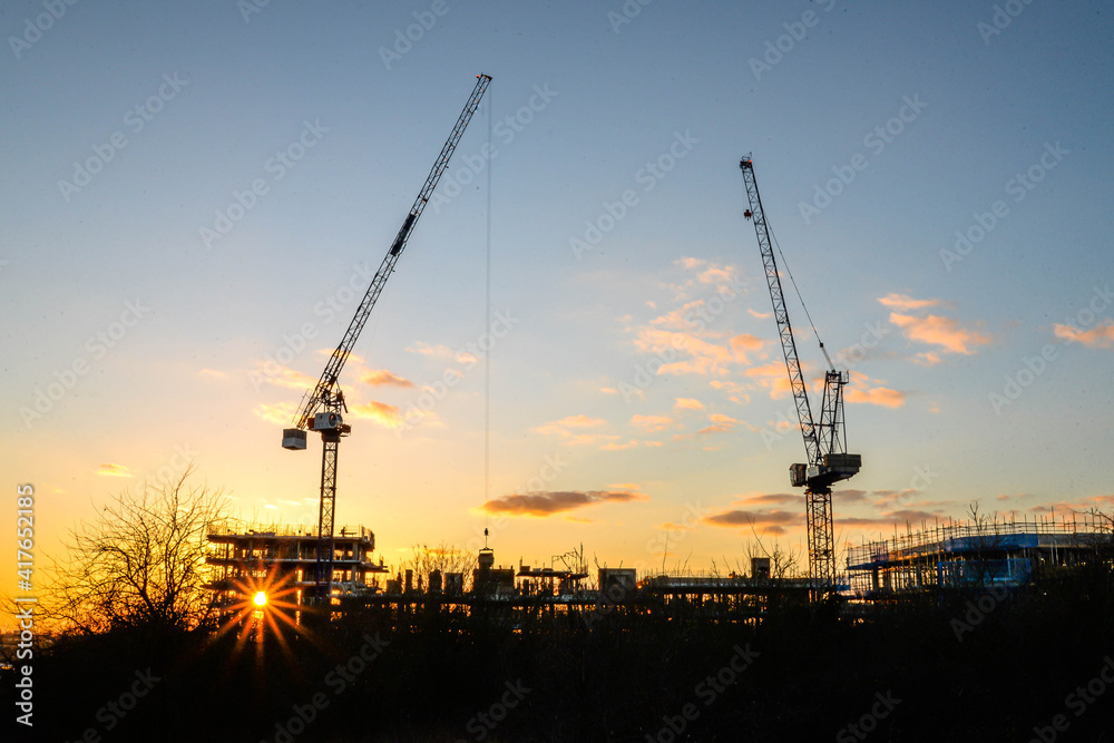 Cranes and sunset