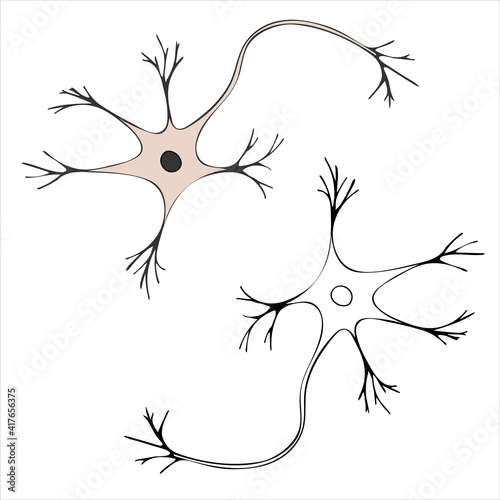 A schematic image of a nerve cell with a nucleus. Neuron. Vector illustration