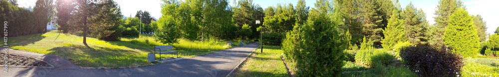 park on a sunny summer day with trees, bushes and paths