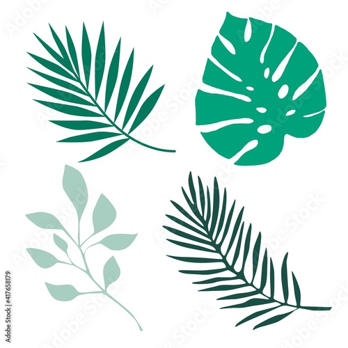 Tropical palm leaf illustration background