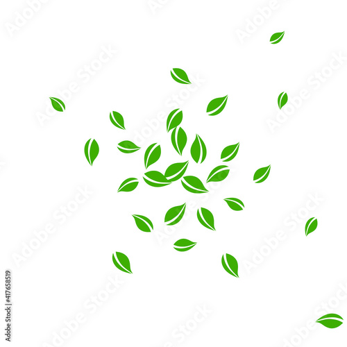 Falling green leaves. Fresh tea random leaves flyi