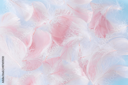 Pastel pink and blue feathers texture background