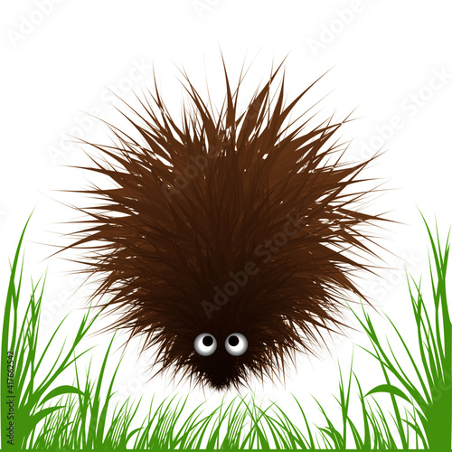 Igelbaby im Gras