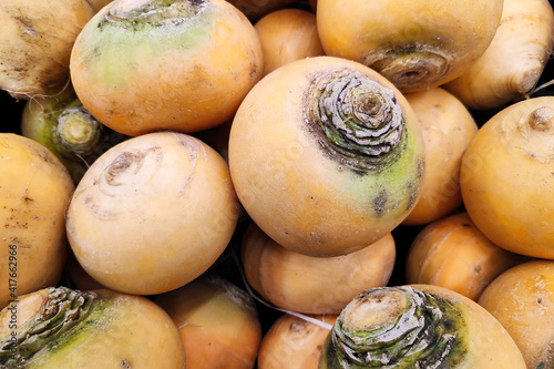 Close-up on a stack of turnip golden balls on a market stall. photo