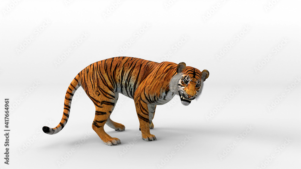 Obraz premium Bengal tiger standing and growl with 3d renderin include alpha path.