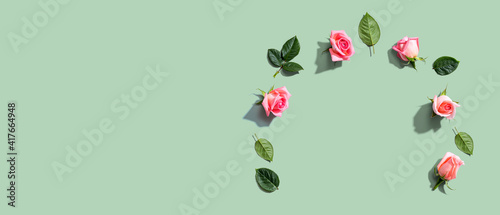 Pink roses with green leaves overhead view - flat lay