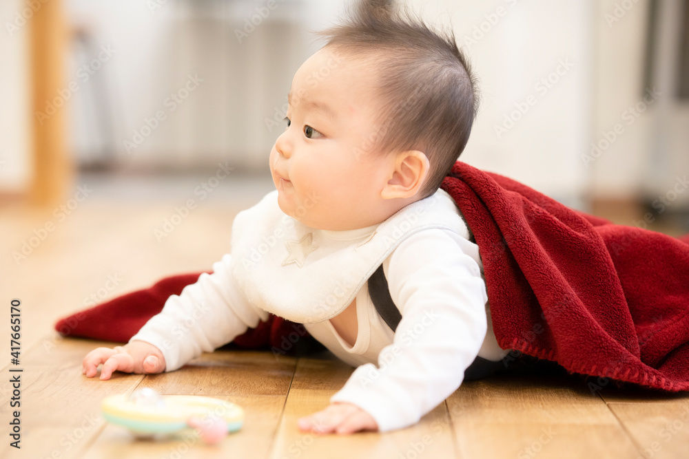 床をハイハイする赤ちゃん 床をハイハイする赤ちゃん