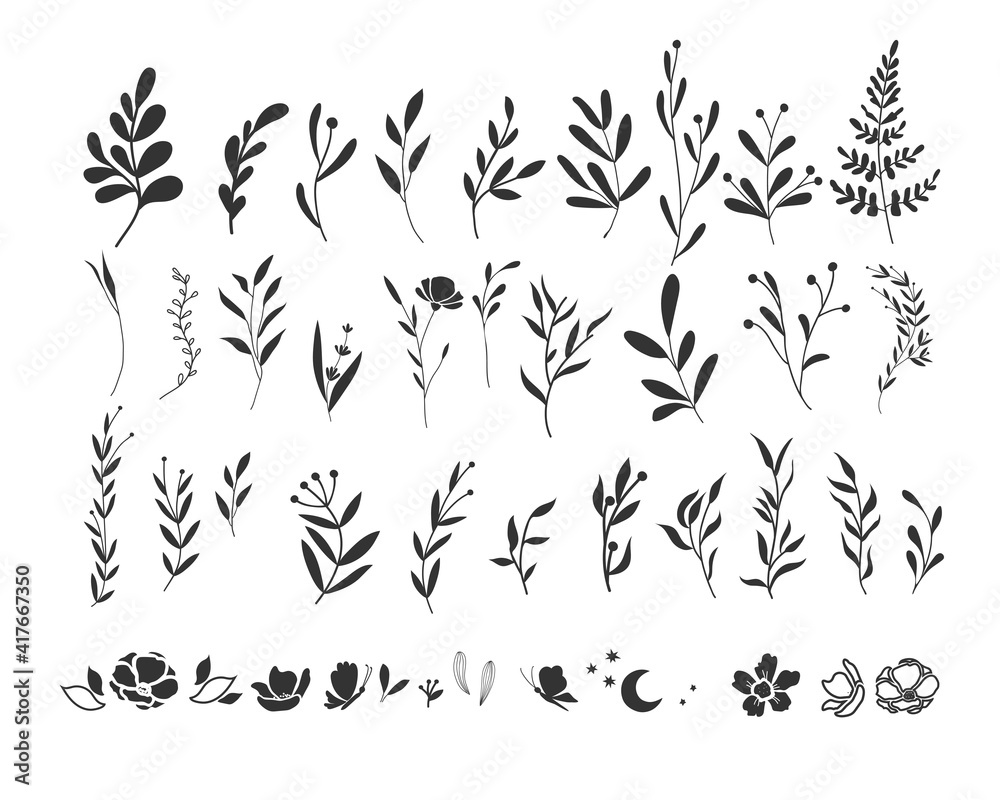 Fototapeta Vector graphic set of twigs and sprigs. Hand drawn silhouette plants