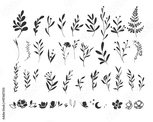 Vector graphic set of twigs and sprigs. Hand drawn silhouette plants