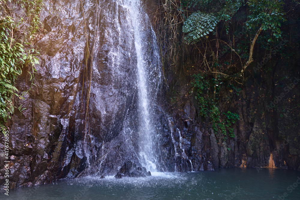 custom made wallpaper toronto digitalTropical freshness. Jungle waterfall. Wet rock.