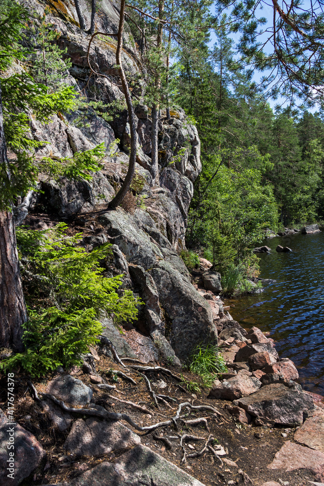 Fototapeta premium trees and rock on the lake shore