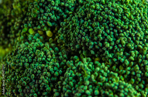 Close-up of a broccoli head. Broccoli texture concept, fresh healthy food