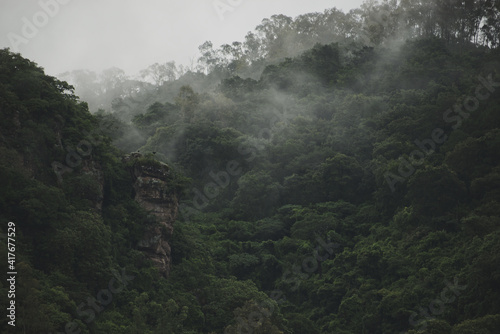 mountain top with mist  something dark