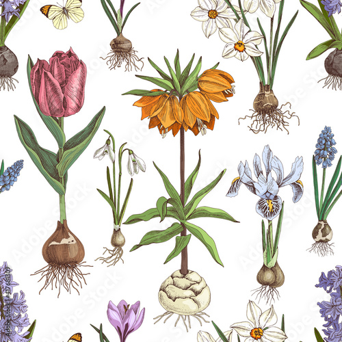Seamless pattern of hand drawn bulbous flowers