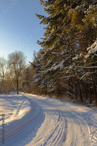 Winter landscape. Winter  country road along the pine forest.