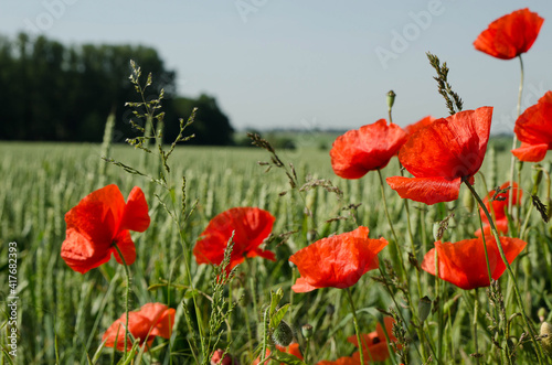 dstock-images photo