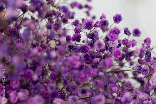 Beautiful bouquet of lilac flowers. Dried flowers. Lavender or verbena.