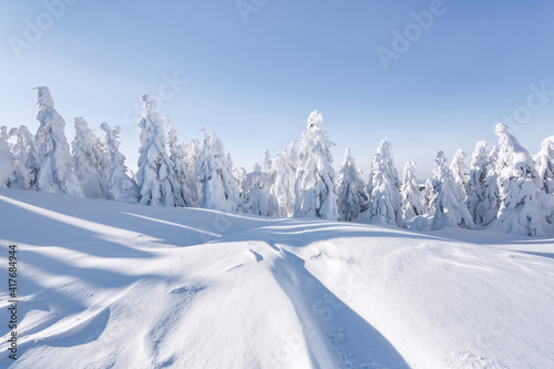 Forest. Landscape on winter day. Meadow covered with frost trees in the snowdrifts. Christmas wonderland. High mountain. Snowy wallpaper background. Nature. Location place Carpathian, Ukraine, Europe © Vitalii_Mamchuk