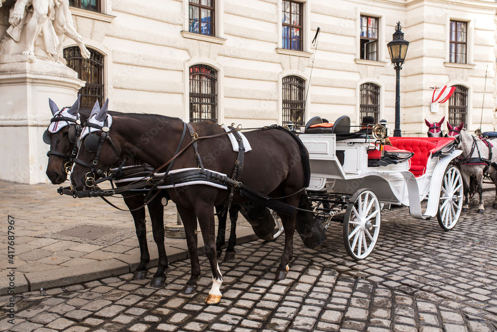 Horse carriage drawn by two horses.