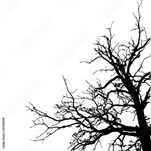 Silhouette of isolated leafless tree on white background. Card template with space for text.