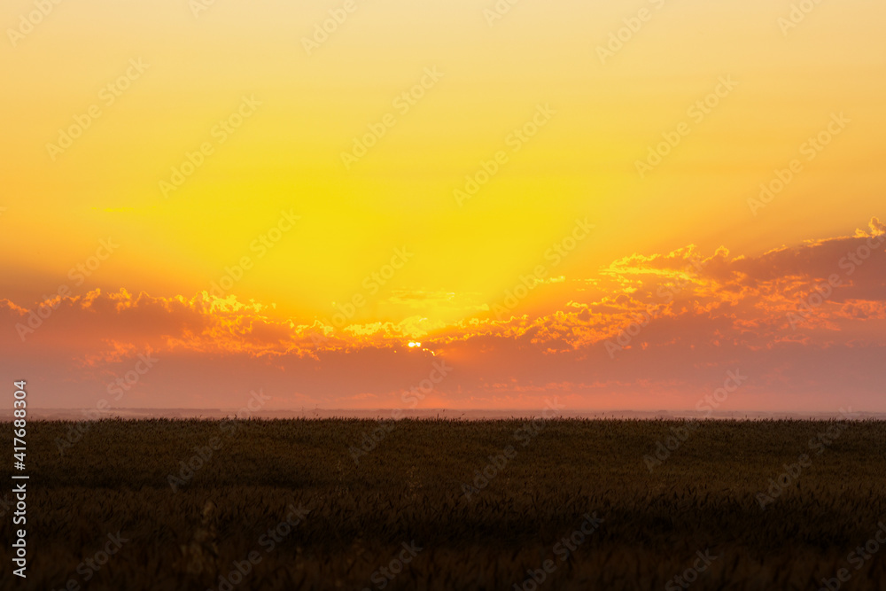 A beautiful orange cloudscape sunset over a golden field of wheat in an agricultural landscape