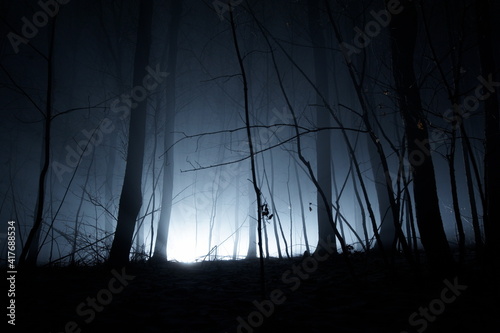 Dark blue spooky forrest with trees in fog