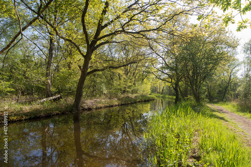 The Ankeveense Plassen nature reserve in spring
