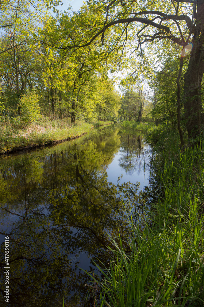 The Ankeveense Plassen nature reserve in spring The Ankeveense Plassen nature reserve in spring