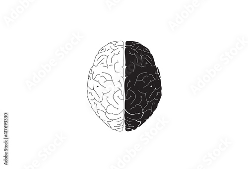 brain