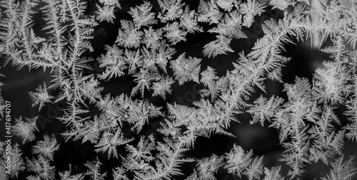Slika na platnu Balck and white ice crystal pattern on the window