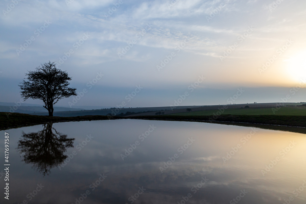 A Tree and its Reflection, at Ditchling Beacon Dew Pond in Late Winter