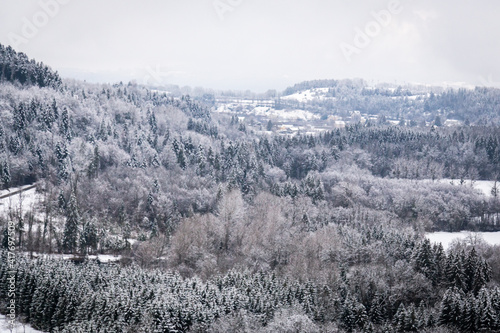 Vue sur les forêts du massif du Jura, en Franche-Comté, sous la neige de l'hiver