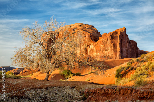 USA, Arizona, Monument Valley Navajo Tribal Park, Autumn at Sand Springs and Rain God Mesa photo