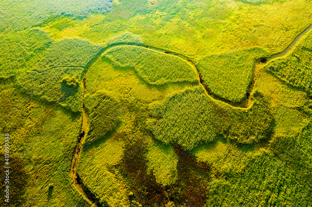 Marvelous view of winding river in green field. Lush wetlands of bird's eye view.