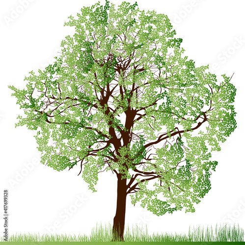 lush tree in green grass illustration
