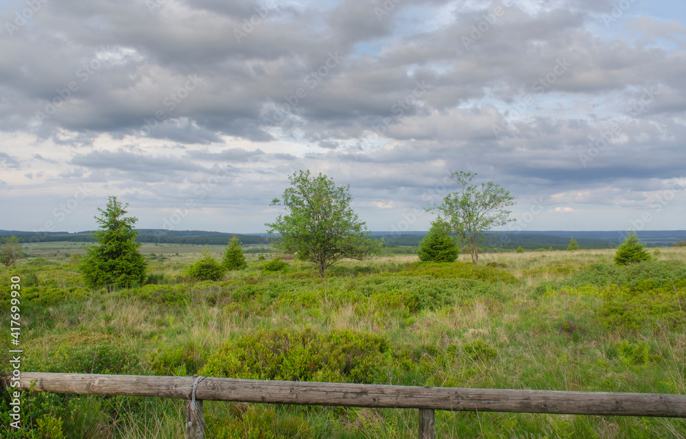 Die Landschaft des 