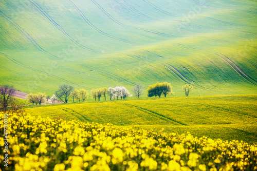Rural area on the springtime on a sunny day. Location place of South Moravian region.