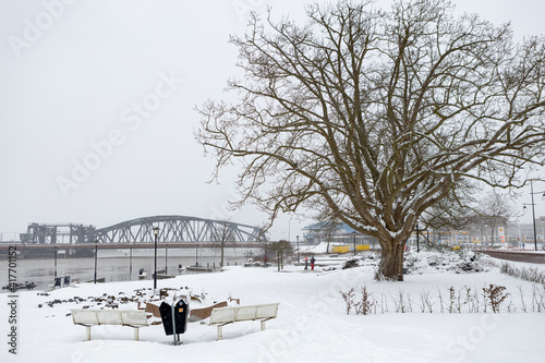 White landscape of IJsselkade boulevard with winter barren tree and  steel train bridge over the river in the background during a snowstorm photo